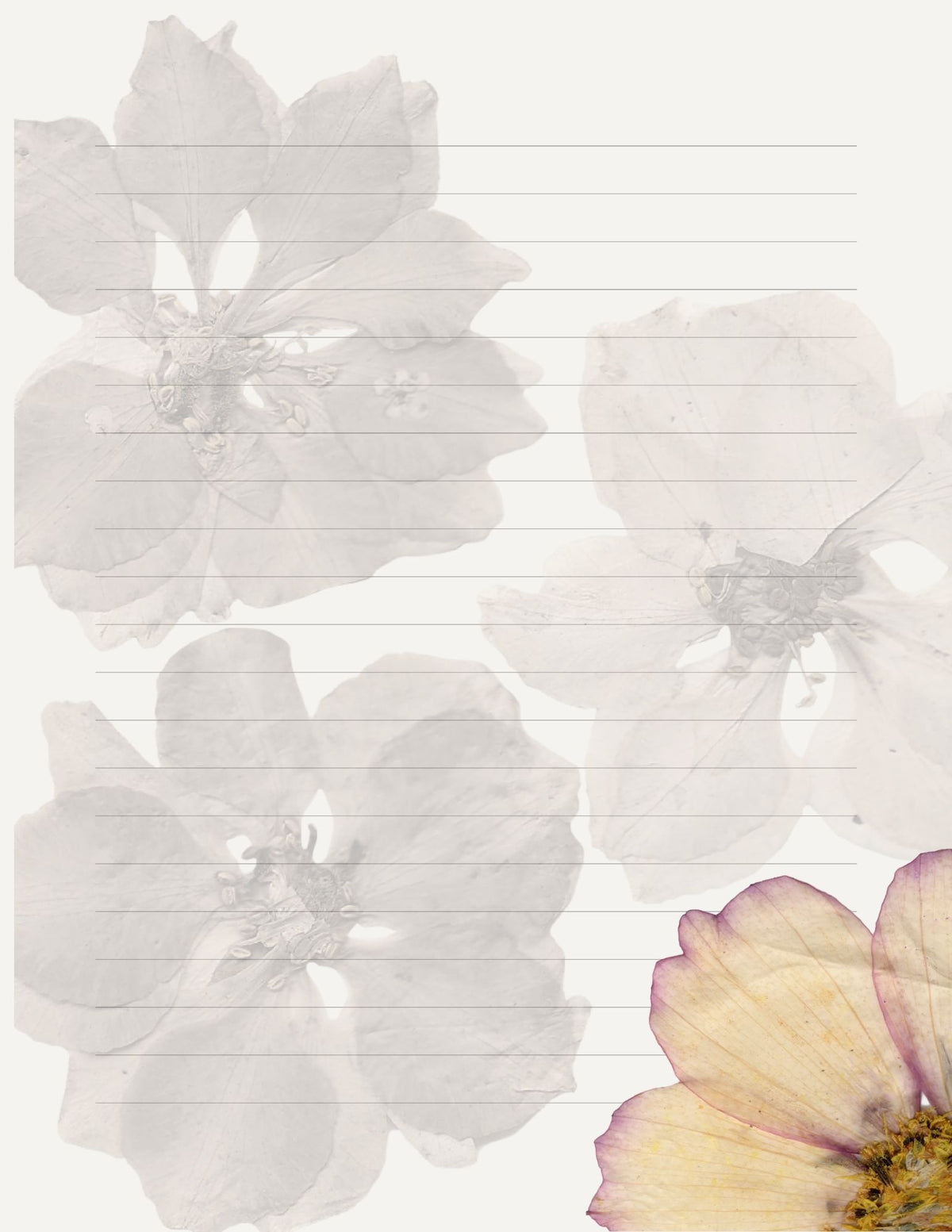 My Journal: Thoughts & Reflections — Floral Journal Series #1